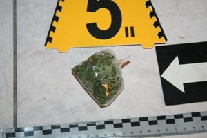 Slika PU_SD/marihuana 3.7..JPG